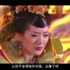 七彩木耐阴吗